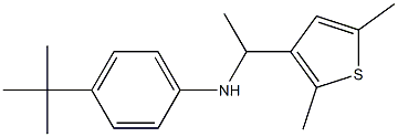 4-tert-butyl-N-[1-(2,5-dimethylthiophen-3-yl)ethyl]aniline 구조식 이미지