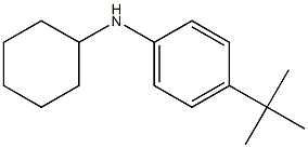 4-tert-butyl-N-cyclohexylaniline 구조식 이미지