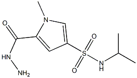 5-(hydrazinocarbonyl)-N-isopropyl-1-methyl-1H-pyrrole-3-sulfonamide Structure