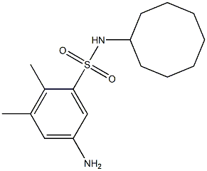 5-amino-N-cyclooctyl-2,3-dimethylbenzene-1-sulfonamide 구조식 이미지