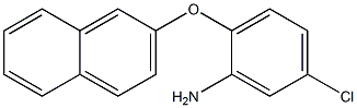 5-chloro-2-(naphthalen-2-yloxy)aniline 구조식 이미지