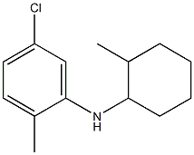 5-chloro-2-methyl-N-(2-methylcyclohexyl)aniline 구조식 이미지