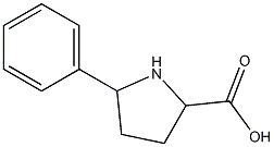 5-phenylpyrrolidine-2-carboxylic acid 구조식 이미지