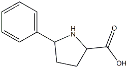 5-phenylpyrrolidine-2-carboxylic acid Structure