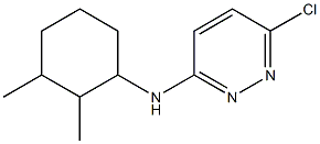 6-chloro-N-(2,3-dimethylcyclohexyl)pyridazin-3-amine 구조식 이미지