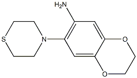 7-(thiomorpholin-4-yl)-2,3-dihydro-1,4-benzodioxin-6-amine Structure