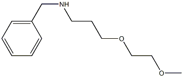 benzyl[3-(2-methoxyethoxy)propyl]amine 구조식 이미지