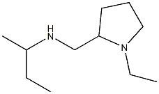 butan-2-yl[(1-ethylpyrrolidin-2-yl)methyl]amine Structure