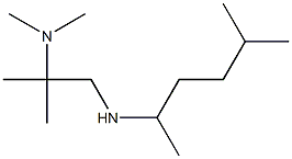dimethyl({2-methyl-1-[(5-methylhexan-2-yl)amino]propan-2-yl})amine Structure