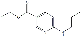 ethyl 6-(propylamino)pyridine-3-carboxylate 구조식 이미지