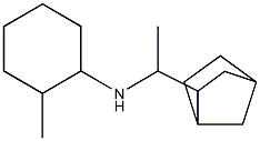 N-(1-{bicyclo[2.2.1]heptan-2-yl}ethyl)-2-methylcyclohexan-1-amine 구조식 이미지