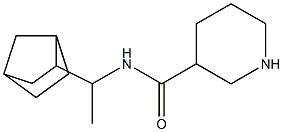 N-(1-{bicyclo[2.2.1]heptan-2-yl}ethyl)piperidine-3-carboxamide 구조식 이미지