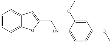 N-(1-benzofuran-2-ylmethyl)-2,4-dimethoxyaniline 구조식 이미지