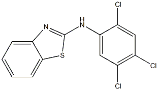 N-(2,4,5-trichlorophenyl)-1,3-benzothiazol-2-amine 구조식 이미지