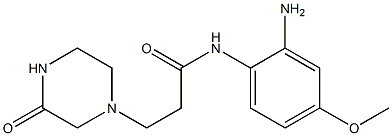 N-(2-amino-4-methoxyphenyl)-3-(3-oxopiperazin-1-yl)propanamide 구조식 이미지