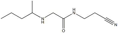 N-(2-cyanoethyl)-2-(pentan-2-ylamino)acetamide Structure