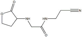 N-(2-cyanoethyl)-2-[(2-oxooxolan-3-yl)amino]acetamide Structure