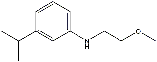 N-(2-methoxyethyl)-3-(propan-2-yl)aniline 구조식 이미지