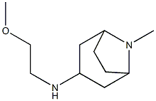 N-(2-methoxyethyl)-8-methyl-8-azabicyclo[3.2.1]octan-3-amine 구조식 이미지