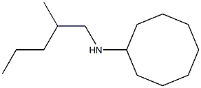 N-(2-methylpentyl)cyclooctanamine Structure