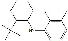 N-(2-tert-butylcyclohexyl)-2,3-dimethylaniline Structure