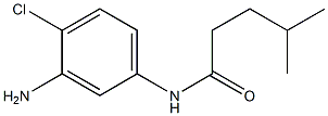 N-(3-amino-4-chlorophenyl)-4-methylpentanamide Structure