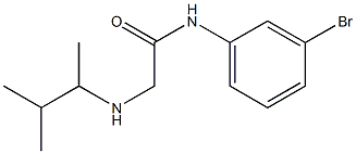 N-(3-bromophenyl)-2-[(3-methylbutan-2-yl)amino]acetamide 구조식 이미지