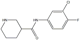 N-(3-chloro-4-fluorophenyl)piperidine-3-carboxamide Structure