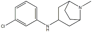 N-(3-chlorophenyl)-8-methyl-8-azabicyclo[3.2.1]octan-3-amine Structure