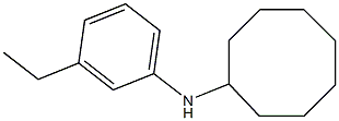 N-(3-ethylphenyl)cyclooctanamine 구조식 이미지