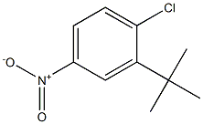 2-tert-Butyl-1-chloro-4-nitro-benzene Structure