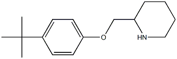 4-(TERT-BUTYL)PHENYL 2-PIPERIDINYLMETHYL ETHER Structure