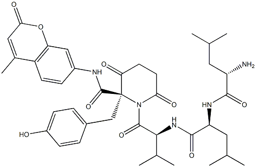 N-succinyl-leucyl-leucyl-valyl-tyrosyl-7-amino-4-methylcoumarin 구조식 이미지