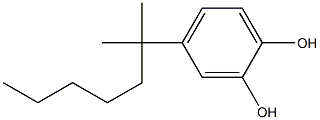 4-T-OCTYLCATECHOL Structure