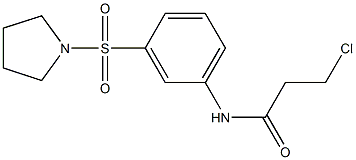 3-CHLORO-N-[3-(PYRROLIDIN-1-YLSULFONYL)PHENYL]PROPANAMIDE Structure