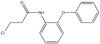 3-CHLORO-N-(2-PHENOXYPHENYL)PROPANAMIDE Structure