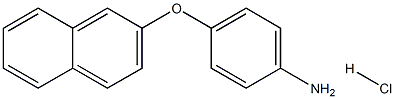 4-(2-NAPHTHYLOXY)ANILINE HYDROCHLORIDE Structure