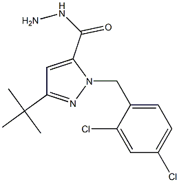 3-(TERT-BUTYL)-1-(2,4-DICHLOROBENZYL)PYRAZOLE-5-CARBOXYLIC ACID HYDRAZIDE 구조식 이미지