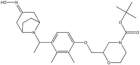 2-{4-[1-(3-HYDROXYIMINO-8-AZA-BICYCLO[3.2.1]OCT-8-YL)-ETHYL]-2,3-DIMETHYL-PHENOXYMETHYL}-MORPHOLINE-4-CARBOXYLIC ACID TERT-BUTYL ESTER Structure