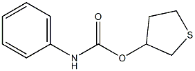 tetrahydrothiophen-3-yl N-phenylcarbamate Structure