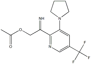 2-[(acetyloxy)ethanimidoyl]-3-(1-pyrrolidinyl)-5-(trifluoromethyl)pyridine 구조식 이미지