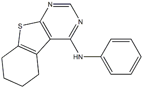 N4-phenyl-5,6,7,8-tetrahydrobenzo[4,5]thieno[2,3-d]pyrimidin-4-amine Structure