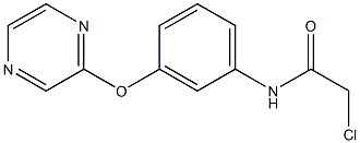 2-chloro-N-[3-(2-pyrazinyloxy)phenyl]acetamide 구조식 이미지
