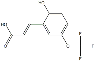 (E)-3-(2-hydroxy-5-(trifluoromethoxy)phenyl)acrylic acid 구조식 이미지