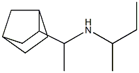 (1-{bicyclo[2.2.1]heptan-2-yl}ethyl)(butan-2-yl)amine Structure