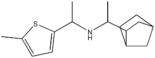 (1-{bicyclo[2.2.1]heptan-2-yl}ethyl)[1-(5-methylthiophen-2-yl)ethyl]amine 구조식 이미지