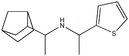 (1-{bicyclo[2.2.1]heptan-2-yl}ethyl)[1-(thiophen-2-yl)ethyl]amine Structure