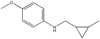 (4-methoxyphenyl)(2-methylcyclopropyl)methylamine Structure