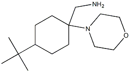 (4-tert-butyl-1-morpholin-4-ylcyclohexyl)methylamine Structure