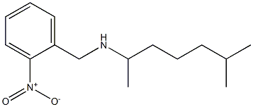 (6-methylheptan-2-yl)[(2-nitrophenyl)methyl]amine 구조식 이미지